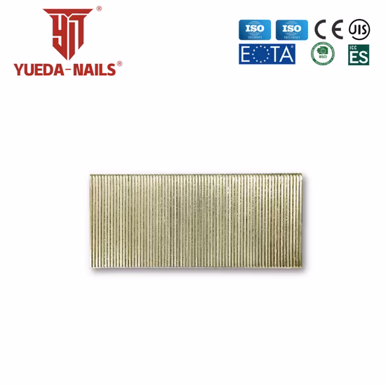fábrica china n
